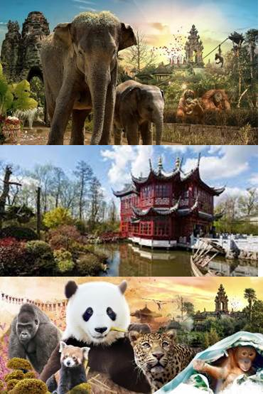 VISITE GUID&Eacute;E AUX PARADIS DE PAIRI DAIZA